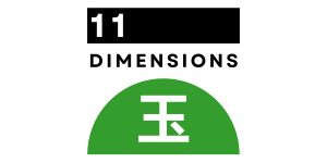 11 Dimensions