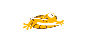 Yellowgecko Studio