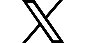 X / SpaceXAI (Twitter)