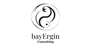 BayErgin Consulting