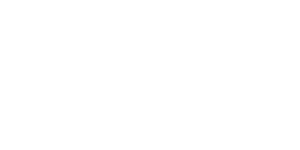 Light Software Studio