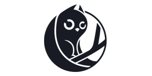 Owlcat Games