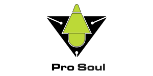 Pro Soul Audio Consultancy Inc.