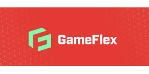 GameFlex Consultants