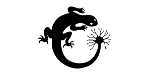 Neurophonic Sound