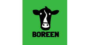 Boreen Games