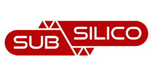 Subsilico