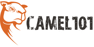 Camel 101