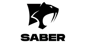Saber Interactive