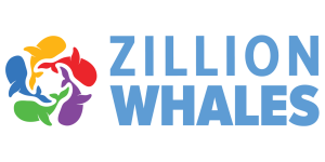 Zillion Whales
