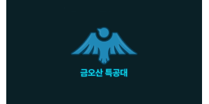 Raven Raiders / 금오산특공대
