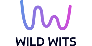 Wild Wits Games