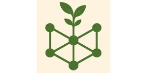 The Self Organization