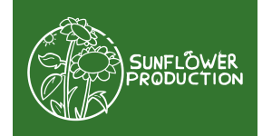 sunflower Production