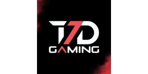 T7D Gaming