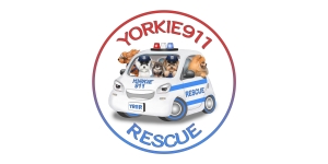 Yorkie911 Rescue Inc