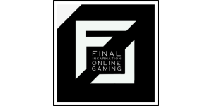 Final Incarnation Online Gaming LLC