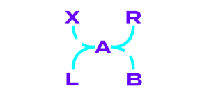XR Lab
