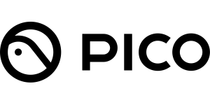 PICO XR