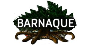 Barnaque