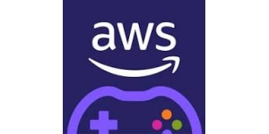 Amazon Web Services (AWS)
