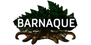 Barnaque