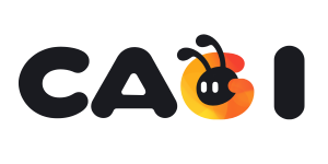 Central Australian Games Industry
