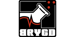 BRYGD Interactive