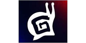 Gaijin Network Ltd