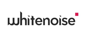 White Noise Localization