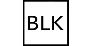 BLKBOX.ai
