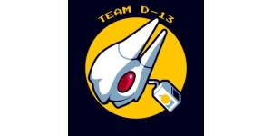 Team D-13