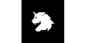 Stone Lion's Game Inc.