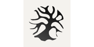 Elderwood Animation Studio LTD.