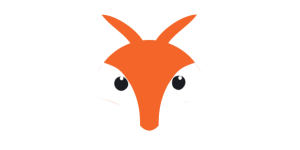 A Collective of Foxes